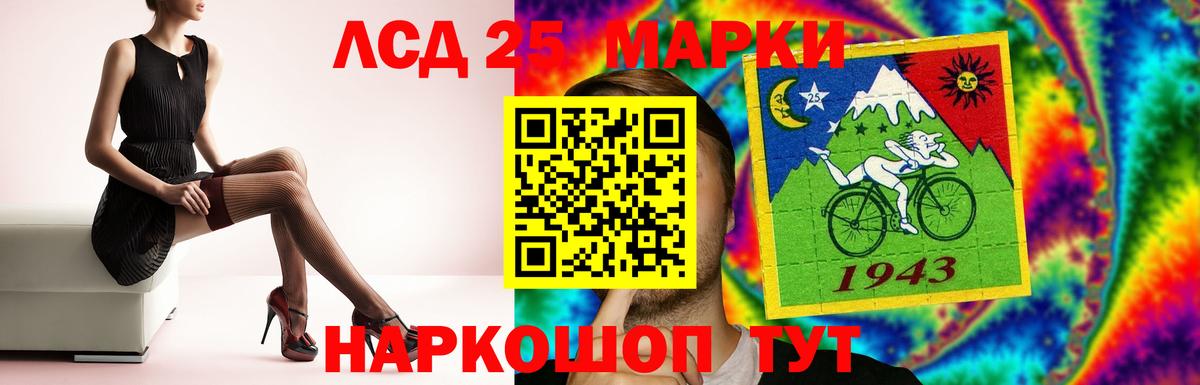 Псилоцибиновые грибы Ногинск