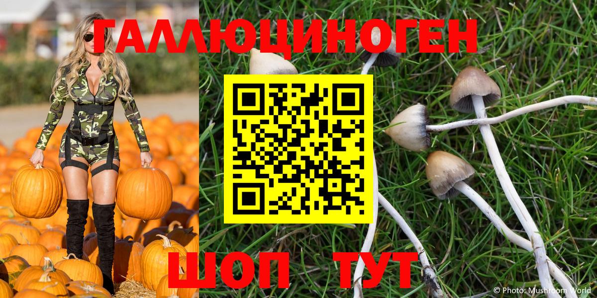 Псилоцибиновые грибы Psilocybine cubensis  Вход с VPN  наркотики  Ногинск 